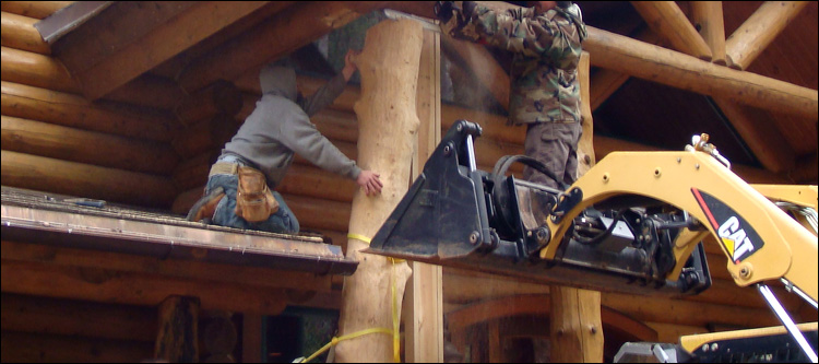 Log Home Log Replacement  Jeffersonville, Ohio